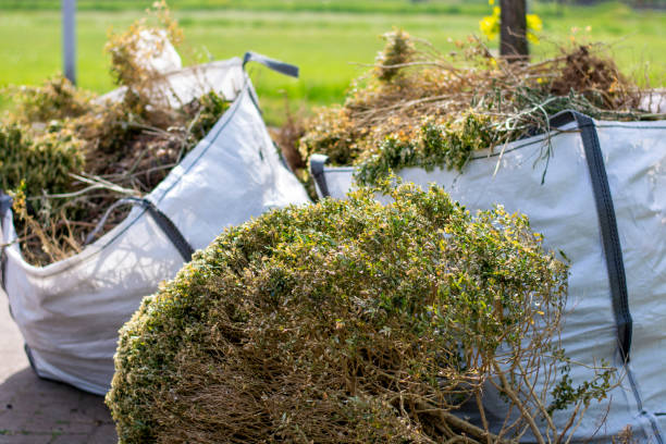 Shed Removal in Waterman, IL